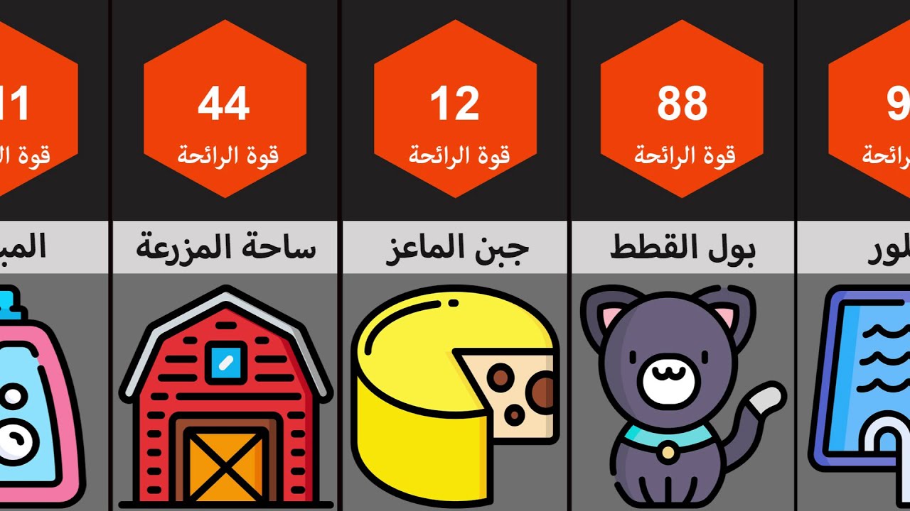 مقارنة بين أسوأ الروائح التى قد تشتمها بحياتك
