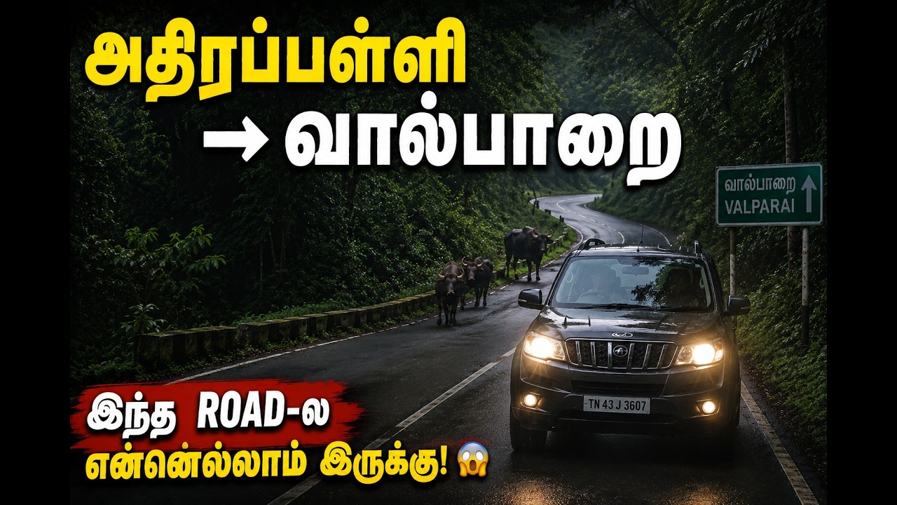 😱 Athirappilly to Valparai Forest Road | A Wildlife Adventure Like Never Before! 🐘