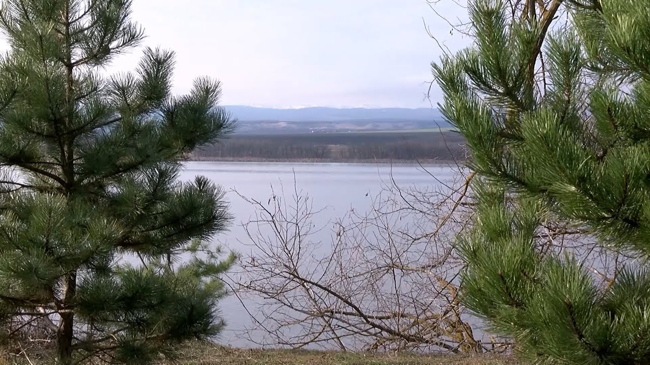 НА СЕВЕРНОМ КАВКАЗЕ ПОЯВИТСЯ ПРИРОДНЫЙ ЗАКАЗНИК 