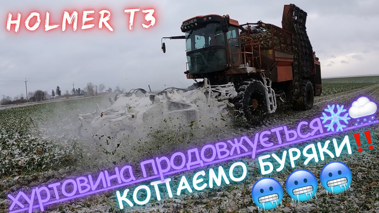 Хуртовина продовжується❄️❄️ Копаємо  буряк🥶🥶