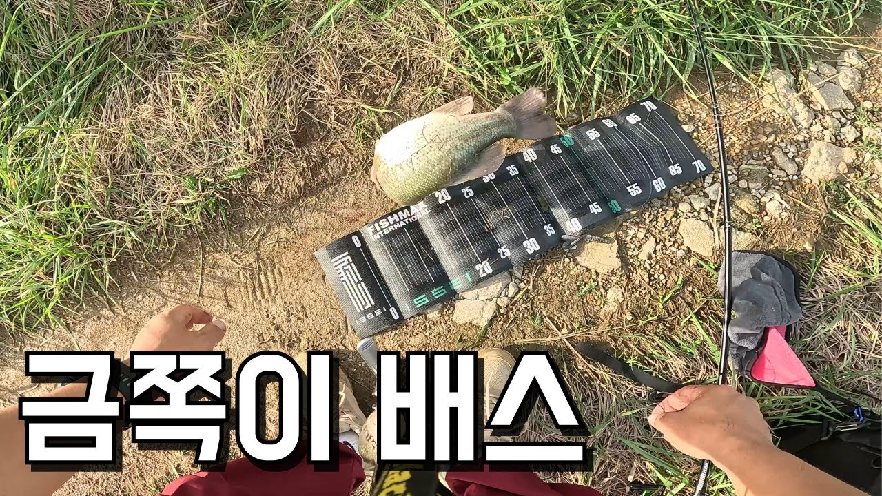 가을 대호만 새물이 답이다?   [2025 앵뱅TV ep.25]