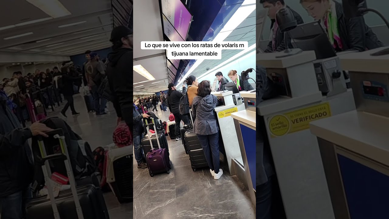 Lo que se vive en el aeropuerto de tijuana