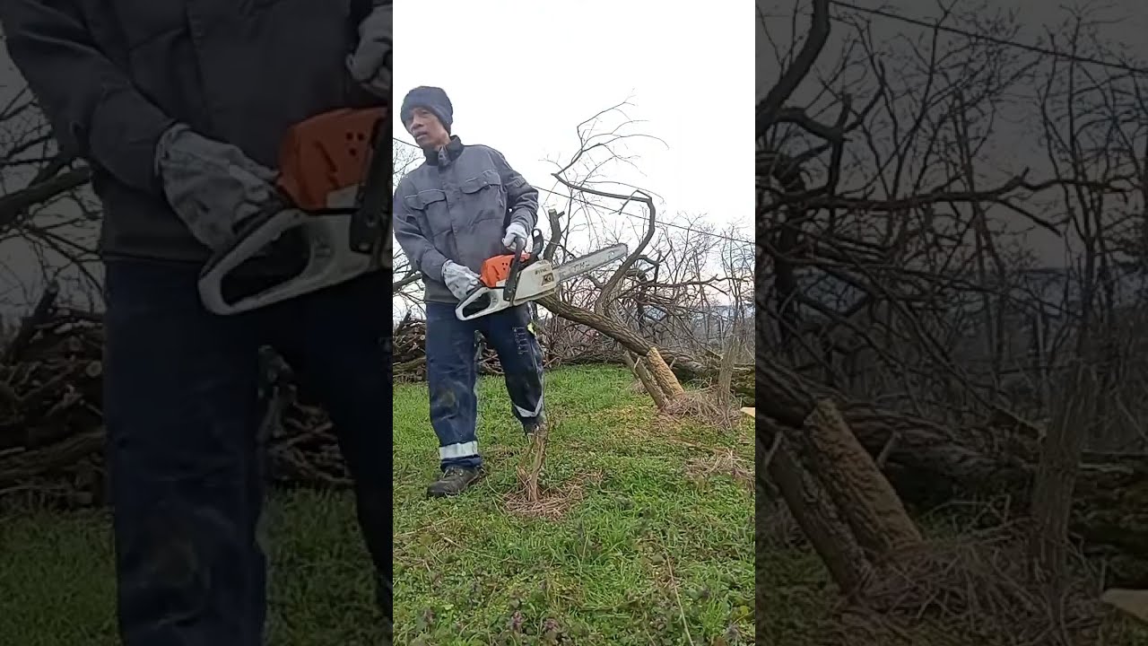 Noskie TV for today's video ay mag part time kami cutting tree wood. #lifeisbutadream #trending  