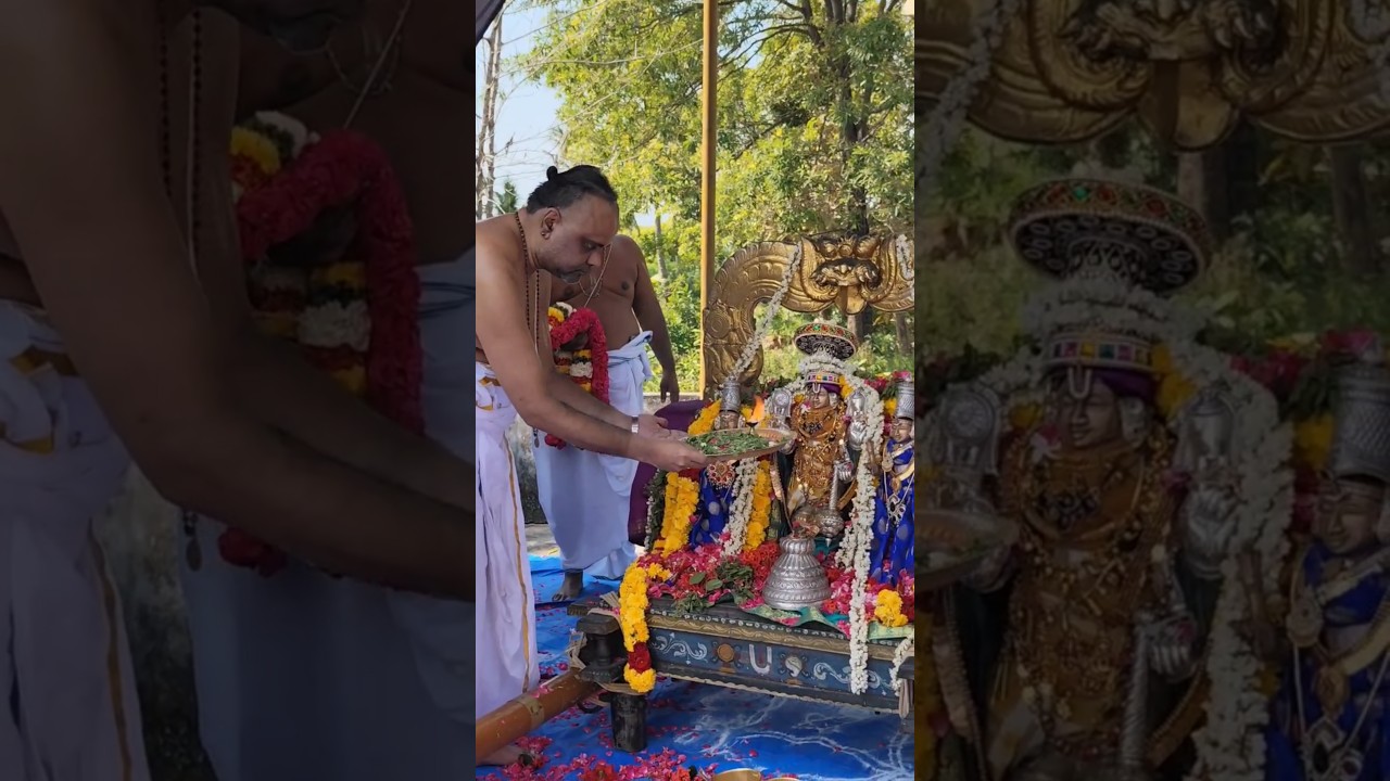 Perumal Eka Vasantham-Sadguru Sri HariJi Maharaj-Paranur-Vasanthotsavam2025 #srihariji