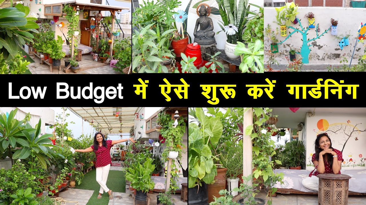 ऐसे बनता है कम खर्च में शानदार गार्डन, इन्होंने लगाई गजब की तरकीब, Low Budget Terrace Garden