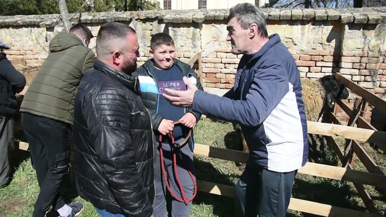 I MI OVNOVE ZA TRKU IMAMO - Izložba ovnova u Dolovu