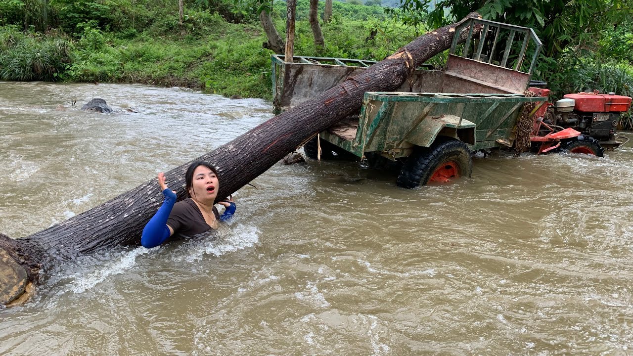 agricultural vehicle transporting wood skills stacking wood alone
