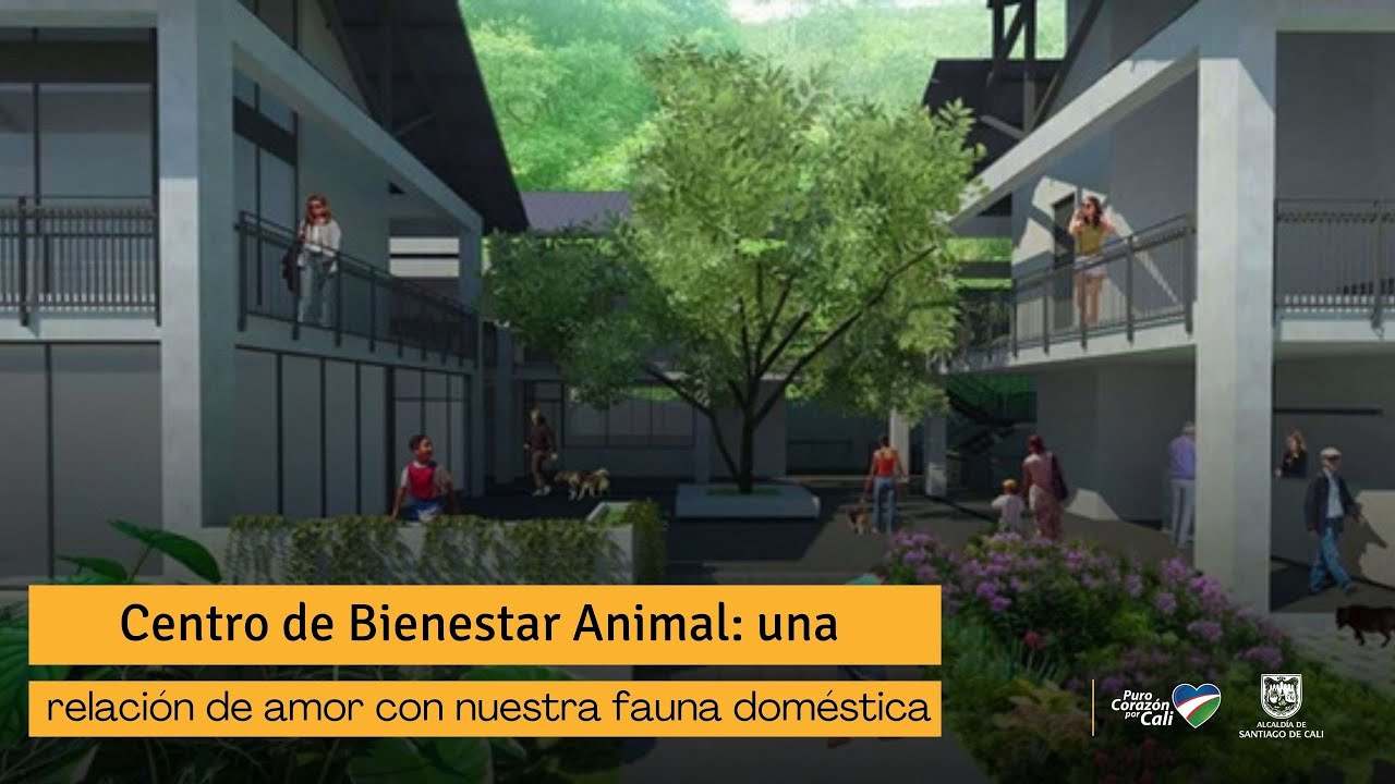 El Centro de Bienestar Animal es un espacio para proteger la vida