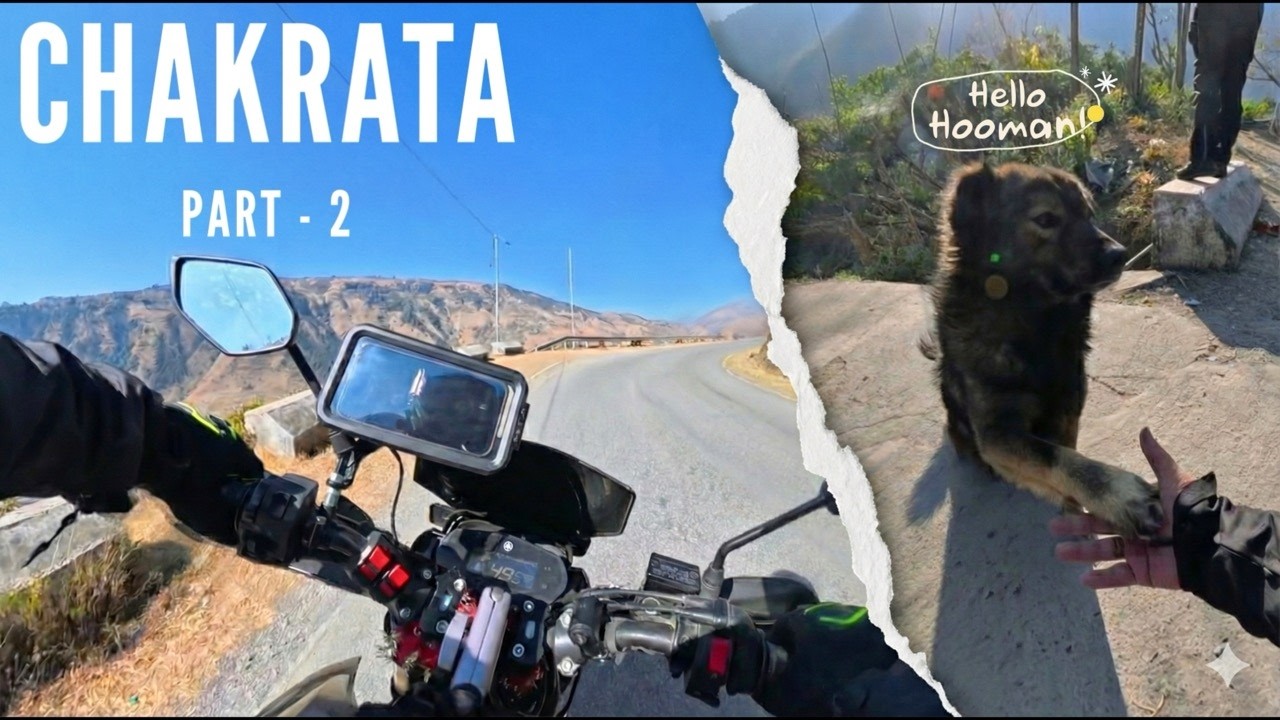 Met a cute Dog on the Ride | Chandigarh to Chakrata - Part 2