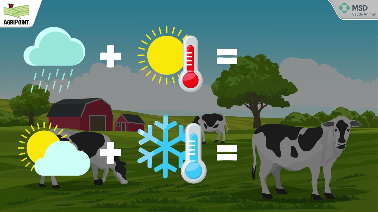 Minuto EndoEcto: Controle de carrapatos na sua fazenda