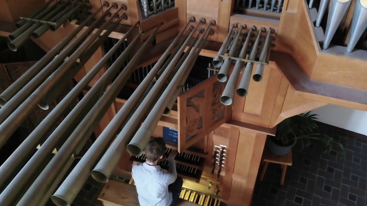 Praeludium in g | BuxWV 163 | Buxtehude | Martien de Vos