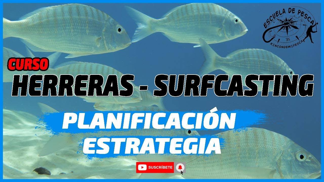 Pesca SURFCASTING de la HERRERA | Planificación y estrategia