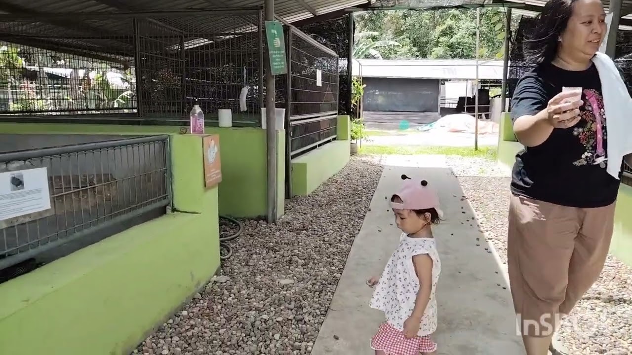 Vlog 14 Feb 2026  Bermalam di Retreat Serapi Matang, pegi VH Nature Park, Dinner di Bing Koi Farm