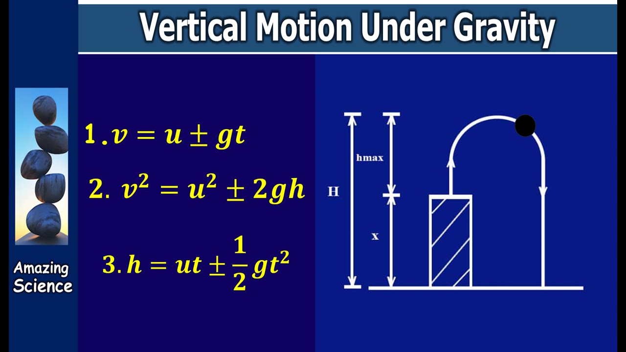 Vertical Motion Under Gravity || Complete Concept Guide #highschoolphysics