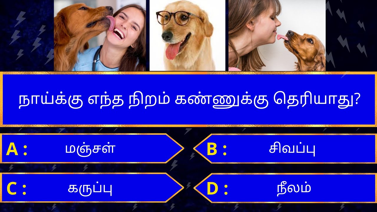 Interesting கேள்விகள் in tamil | gk tamil | general questions in tamil | gk quiz | Amazing facts 259
