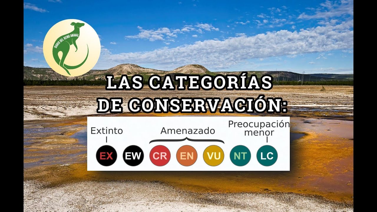 CONSERVACIÓN: La lista roja de la UICN + El CITES (Con Fiona y Nico) #biology #animales #wildlife