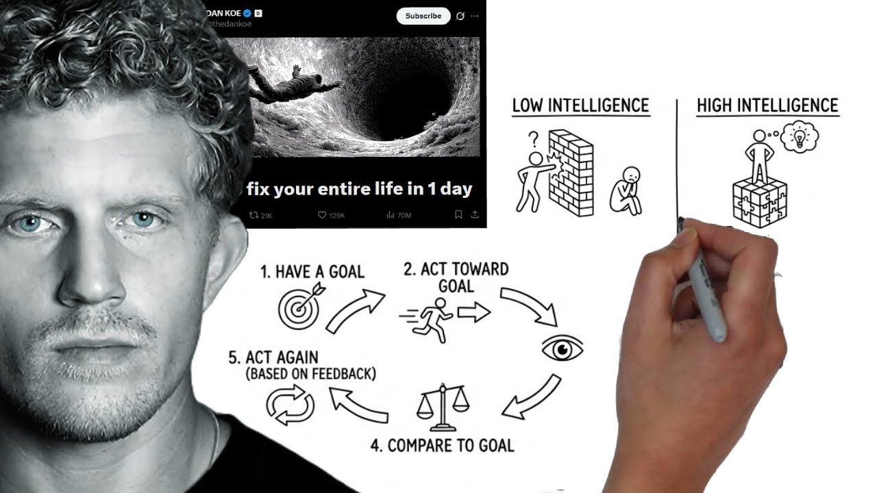 DAN KOE: How To Fix Your Entire Life In 1 day - Animated Summary