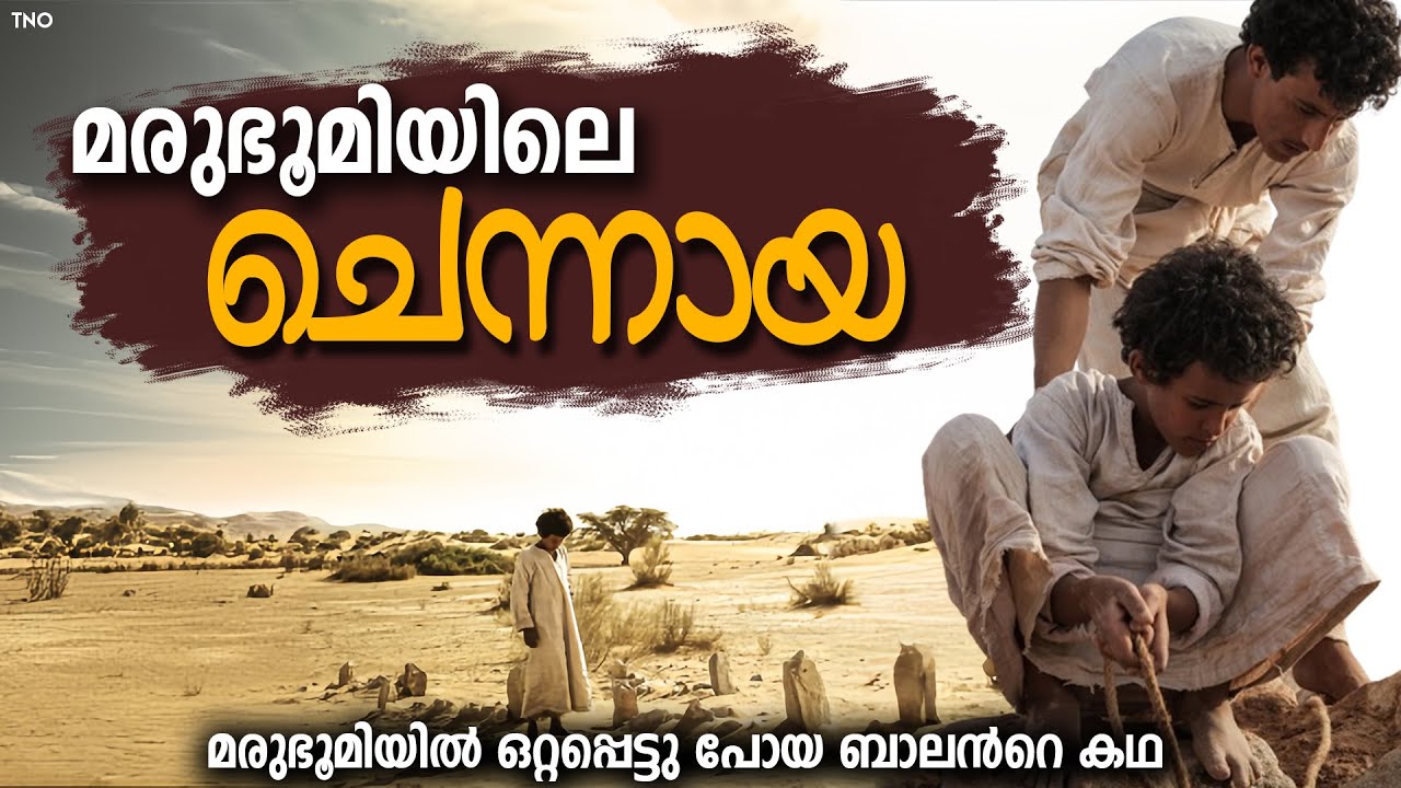 മരുഭൂമിക്കും കൊള്ളക്കാർക്കും ഇടയിൽ പെട്ടുപോയ ബാലൻ | Theeb Explained in Malayalam | The Night owl