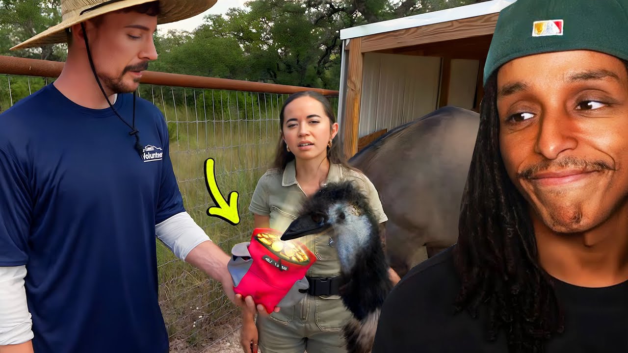 MrBeast помогает спасти жизни 1000 животных!!