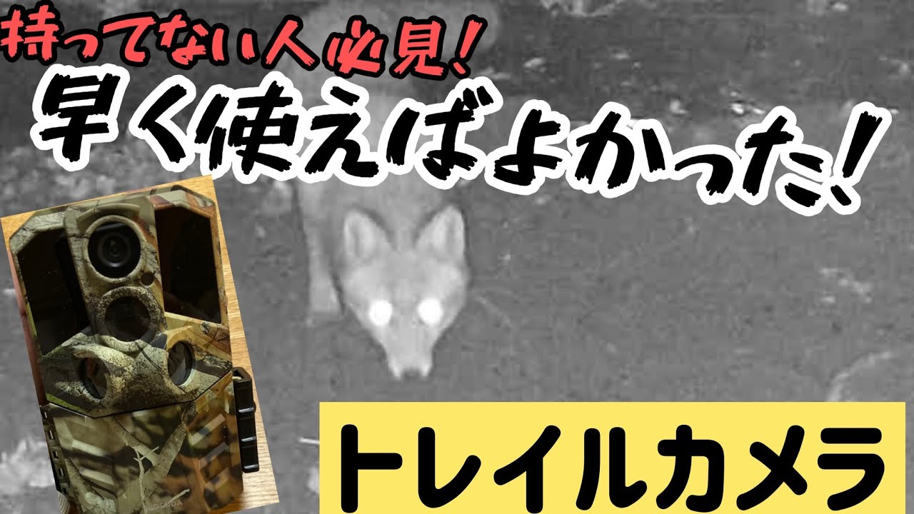 【狩猟】トレイルカメラの使用感ってこんな感じ