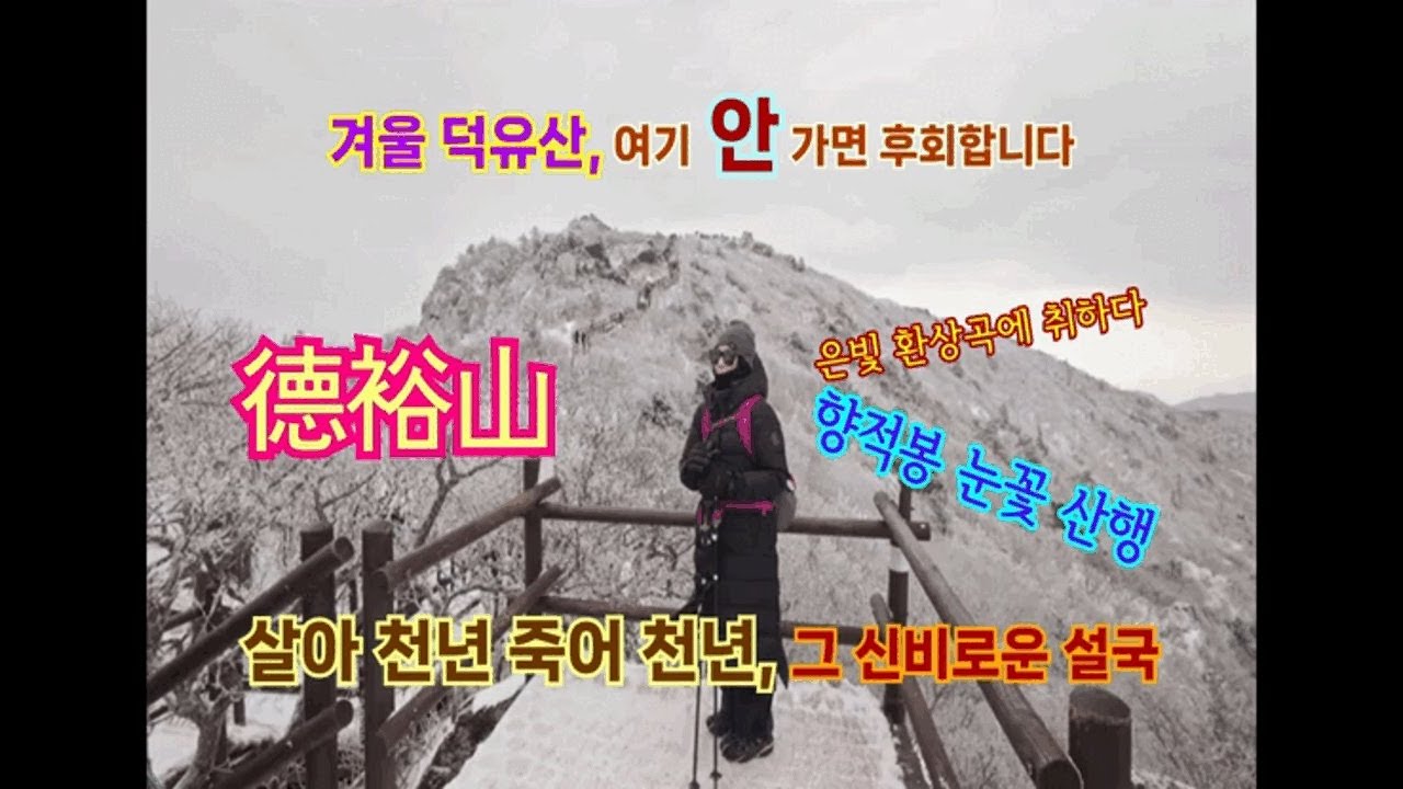 곤도라 타고 천상으로! 덕유산 향적봉, 역대급 눈꽃에 말문이 막혔습니다