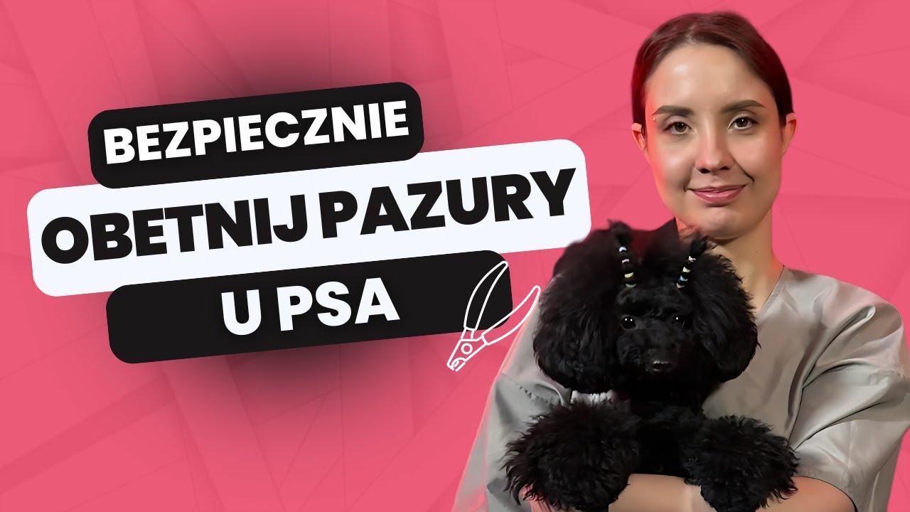 JAK BEZPIECZNIE obciąć psu pazury? GROOMERKA zdradza swoje TRIKI!  Kawa z PsiaPsi