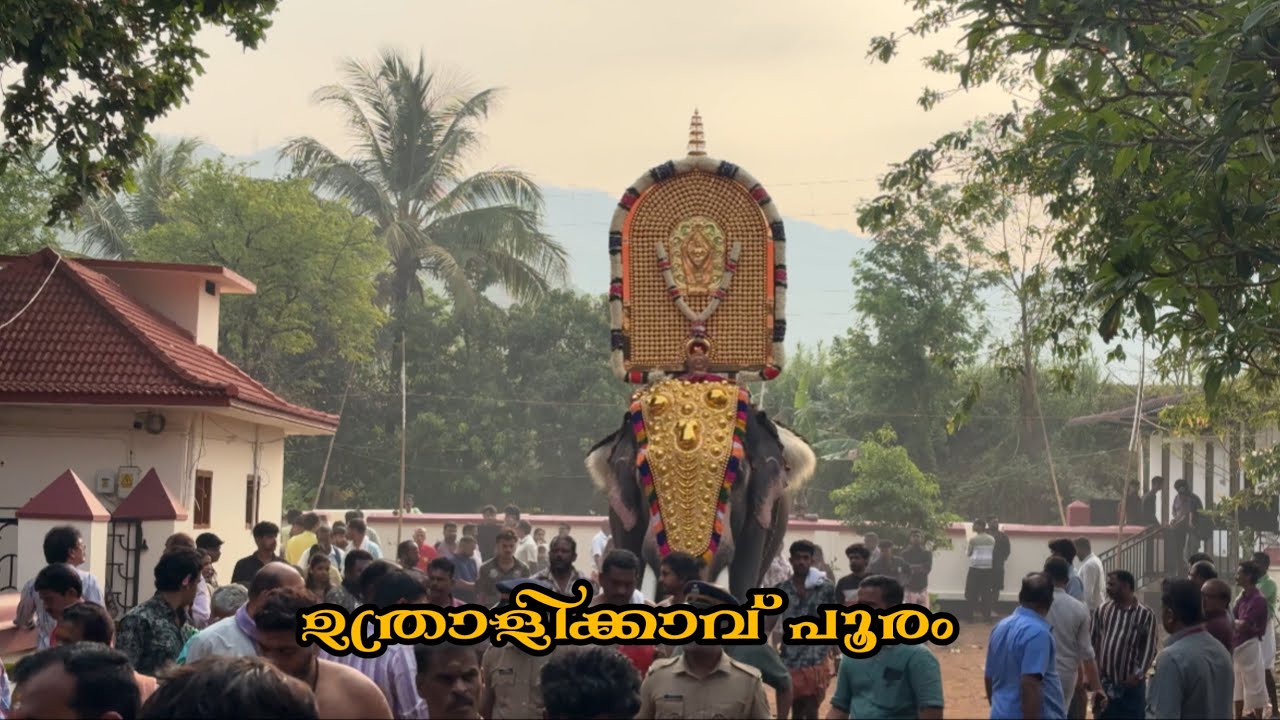 ഉത്രാളിക്കാവ് പൂരം | Random Frames