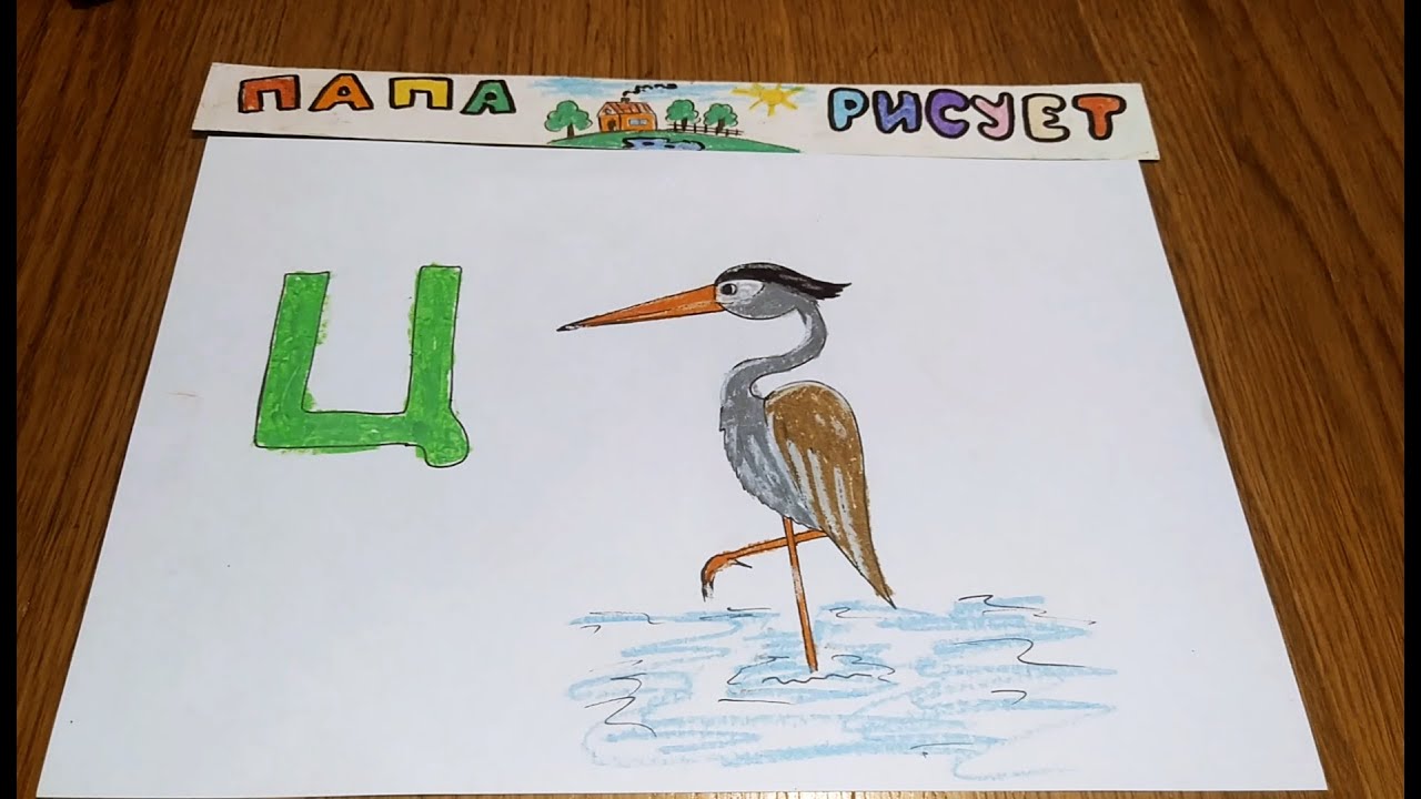 Рисуем Цаплю/Русский Алфавит. Буква Ц/ Урок Рисования / How to draw a Heron / Drawing Lesson