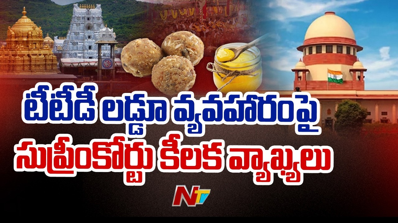 Tirumala : టీటీడీ లడ్డూ వ్యవహారంపై సుప్రీంకోర్టు కీలక వ్యాఖ్యలు | NTV Telugu