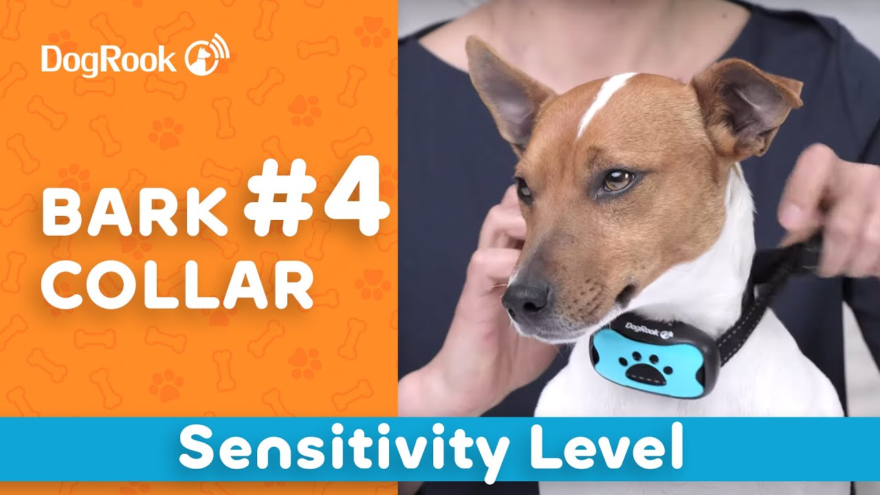 4. Sensitivity Level - DogRook Bark Collar