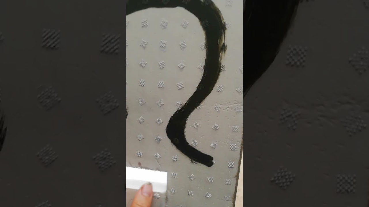 Presentazione e recensioni portasciami in polistirolo