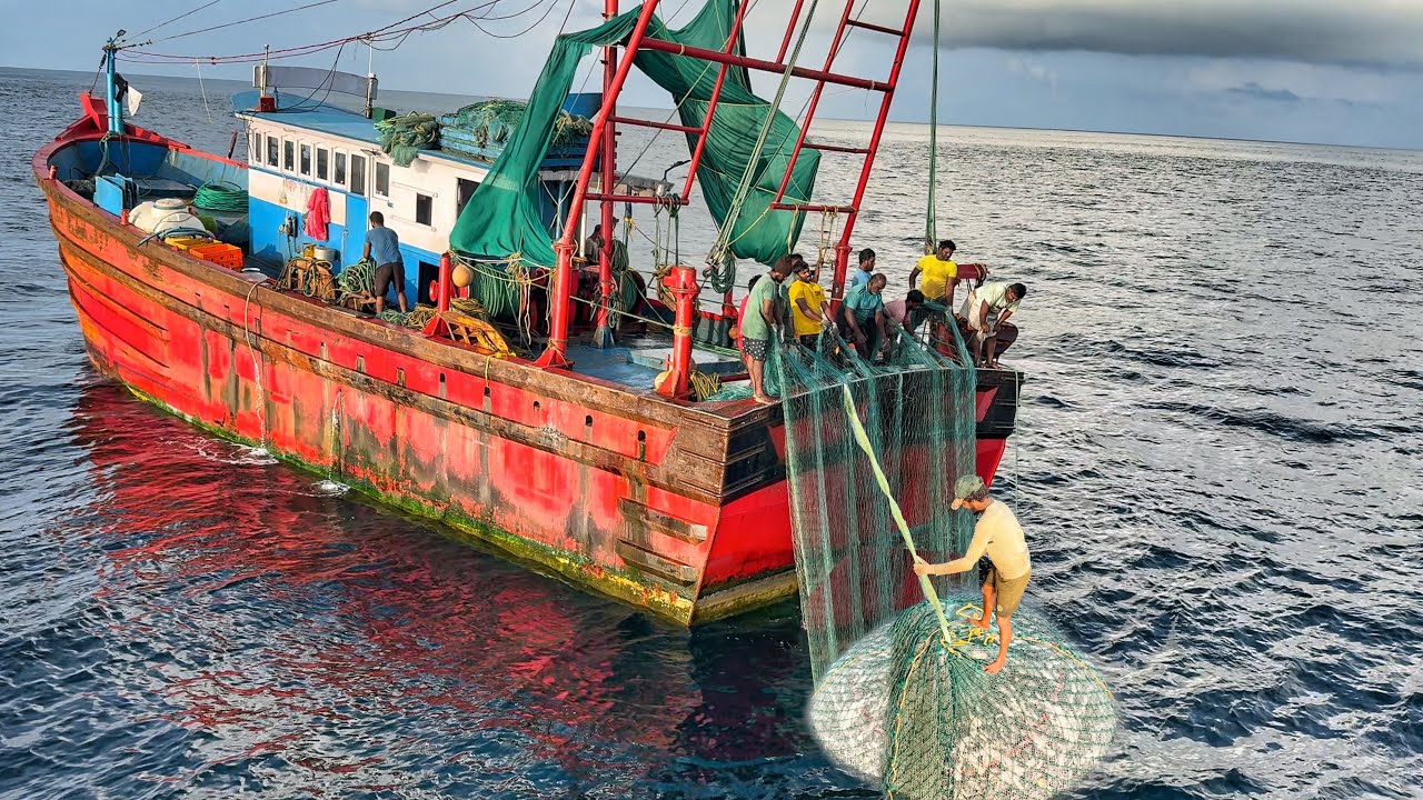 Oh‼️ Life at Risk in Deep Sea | Dangerous Fishing, Cooking & Surviving Giant Waves