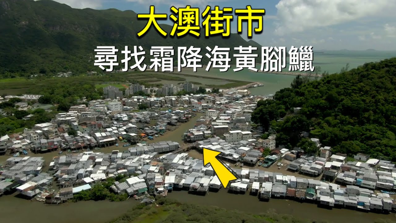 街市 ︱我在網上看到一個圖片 大澳街市出現100 3條海黃腳鱲 真的是海魚嗎？最後意外給我買到一條海黃花魚 #黃腳鱲 #黃花魚 #大澳 #假日好去處