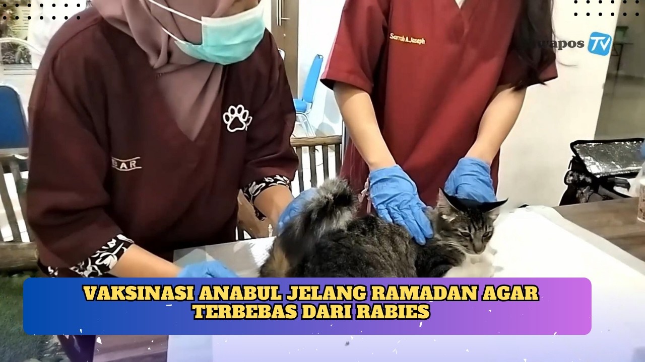 VAKSINASI ANABUL JELANG RAMADAN AGAR TERBEBAS DARI RABIES