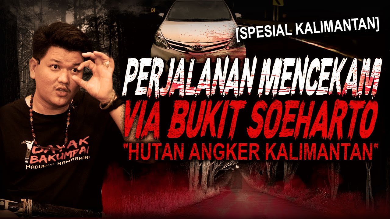 JANGAN BAWA IKAN ASIN KALO DI HUTAN KALIMANTAN !! KISAH MISTIS PERJALANAN MENCEKAM BUKIT SOEHARTO