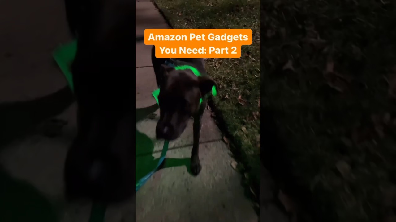Amazon Pet Gadgets You Need: Part 2