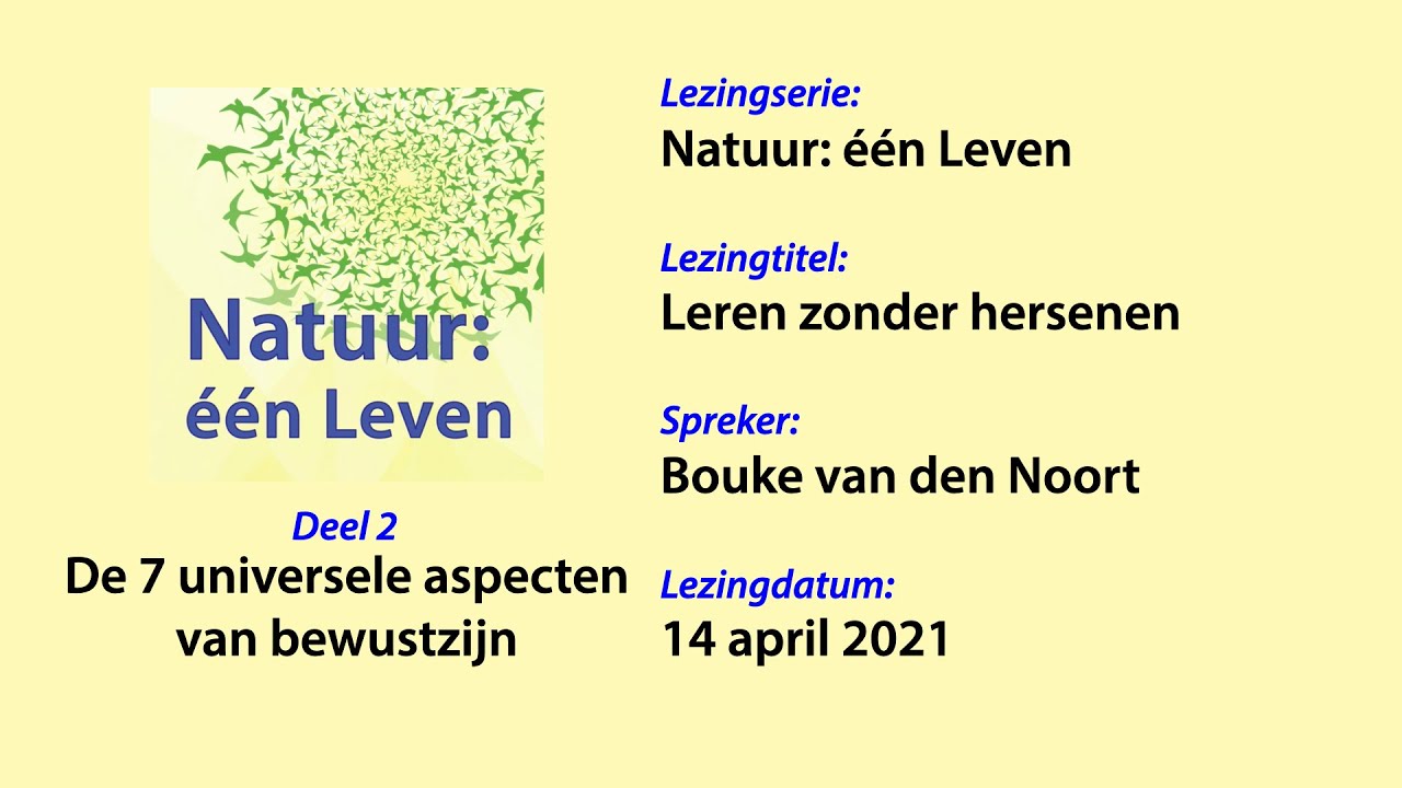 Leren zonder hersenen (2/3): De 7 universele aspecten van bewustzijn
