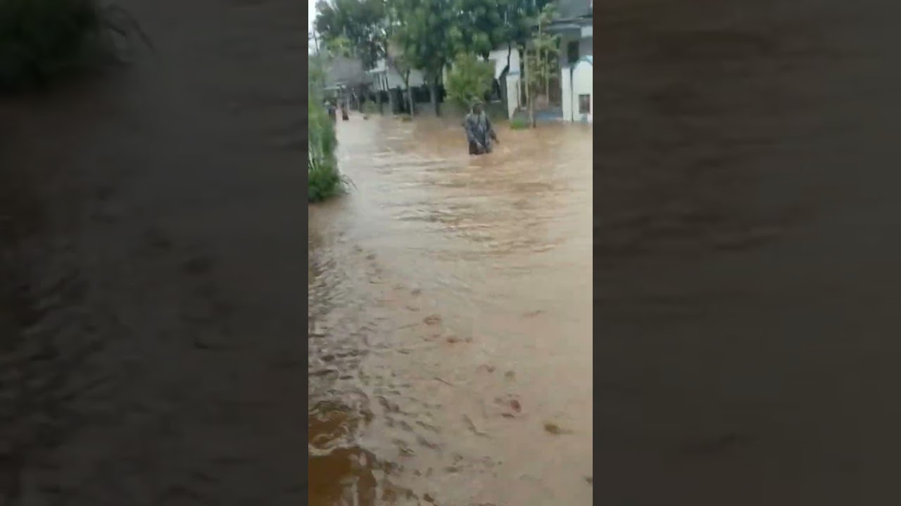 Banjir di Desa Macan Putih Kec Kabat, Kab Banyuwangi. 20 -01 - 2023