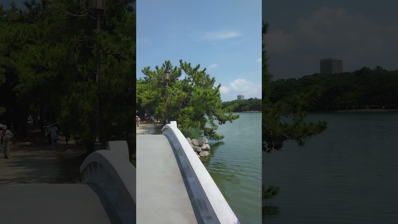 Ohori Park 大濠公園 in Fukuoka on a warm sunny day