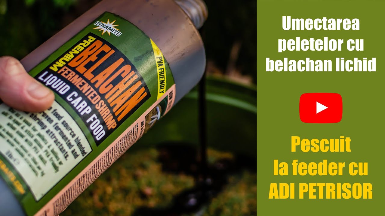 Umectarea peletelor cu belachan lichid