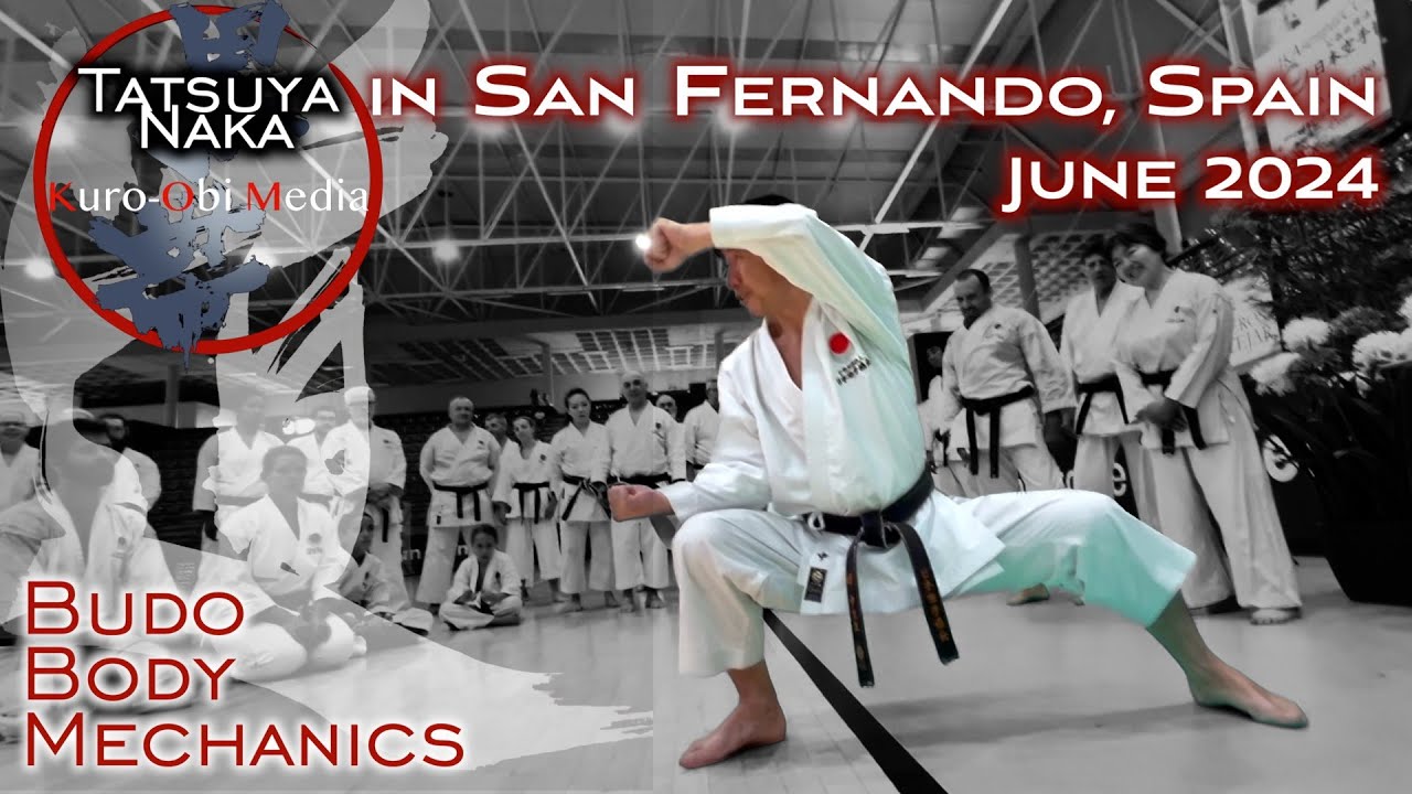 2024 Tatsuya Naka Sensei Seminar in Spain Preview!
