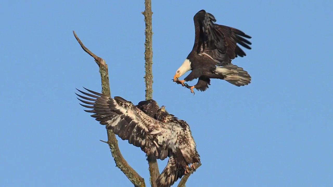 Grant's Getaways: Ankeny Refuge is just a snapshot away