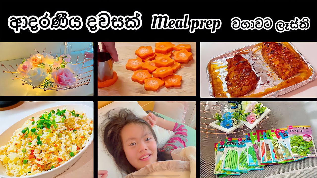 දැන් නම් වගාවට ලෑස්ති 😍| Day in my life 💜| Life in japan 🇱🇰🇯🇵