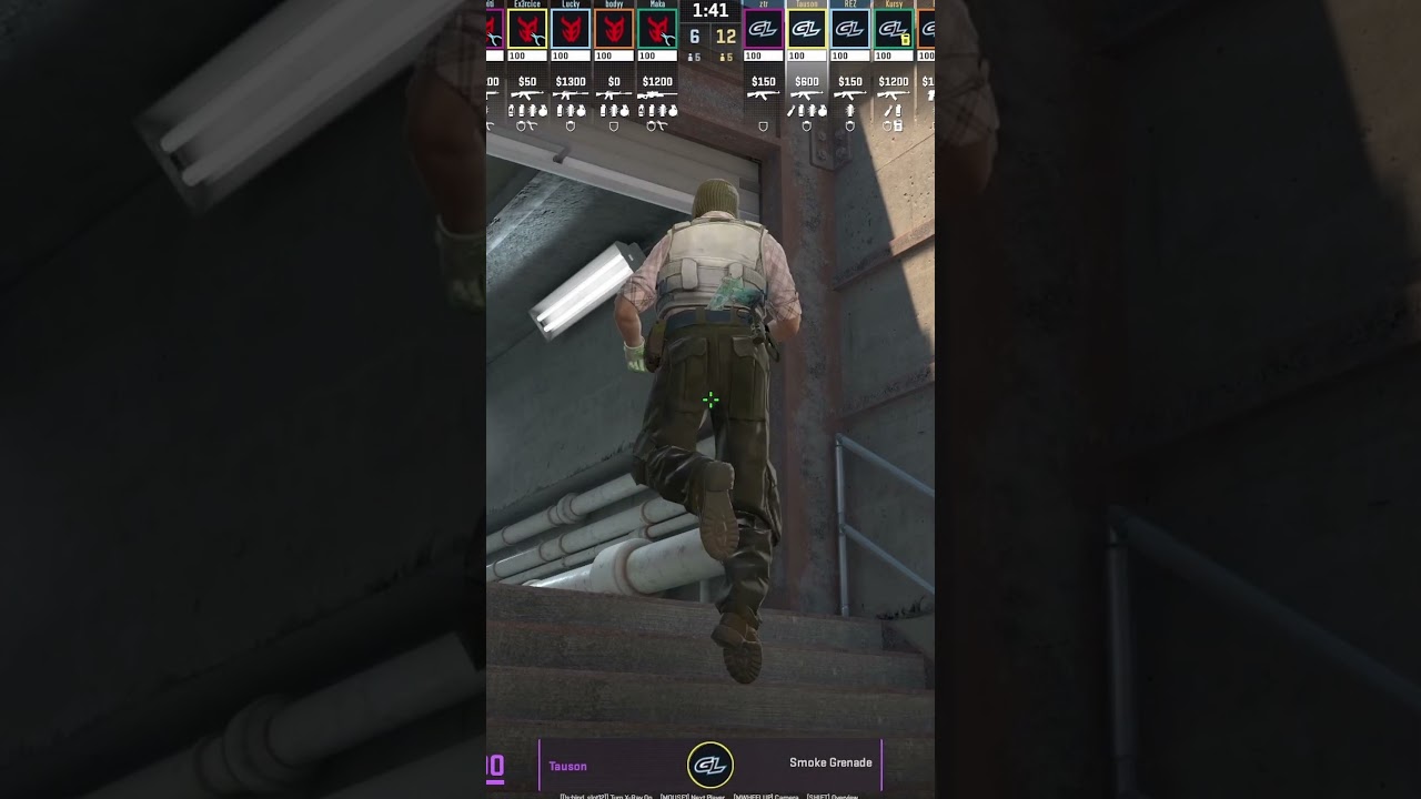 PRO OVERPASS TOLIET SMOKE TO RUSH MID IN CS2