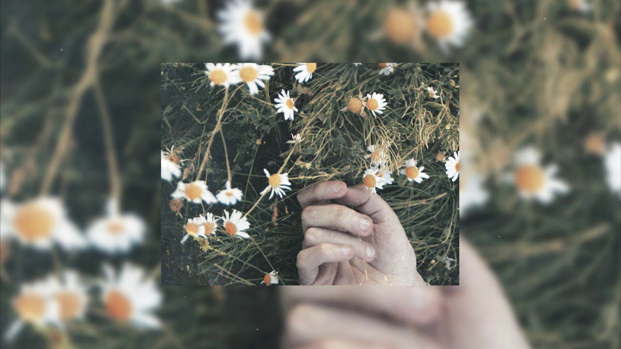 Sinxi - Someday (Audio)