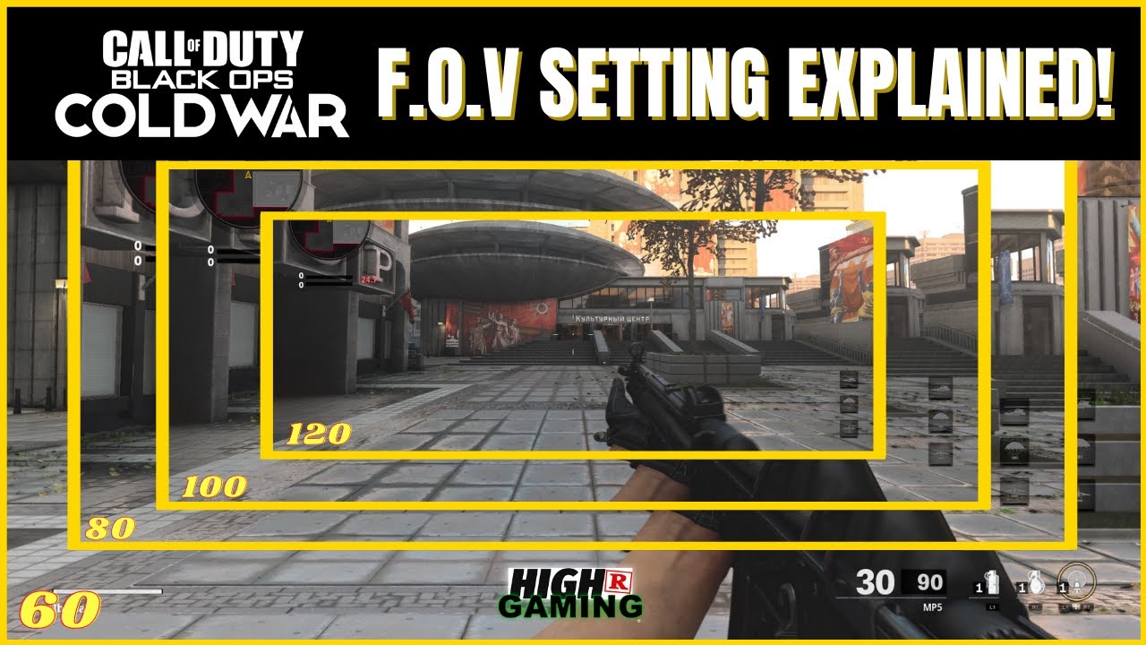 *NEW*  ADJUSTABLE FIELD OF VIEW SETTING!! | BLACK OPS: COLD WAR