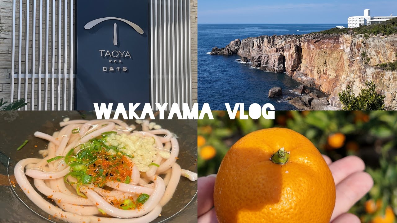和歌山旅行｜TAOYA白浜千畳｜千畳敷｜【vlog 🍊】