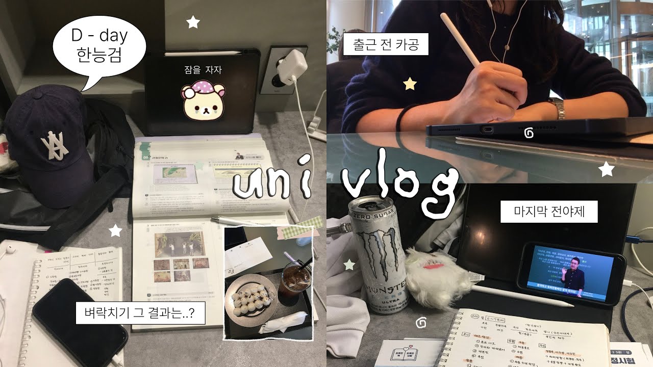 vlog. D-day 벼락치기의 결과 개가티 멸망한 4일간의 브이로그🥹ㅣ공부 브이로그 •  그래서 한능검 결과는…? 💣• 대학생 브이로그