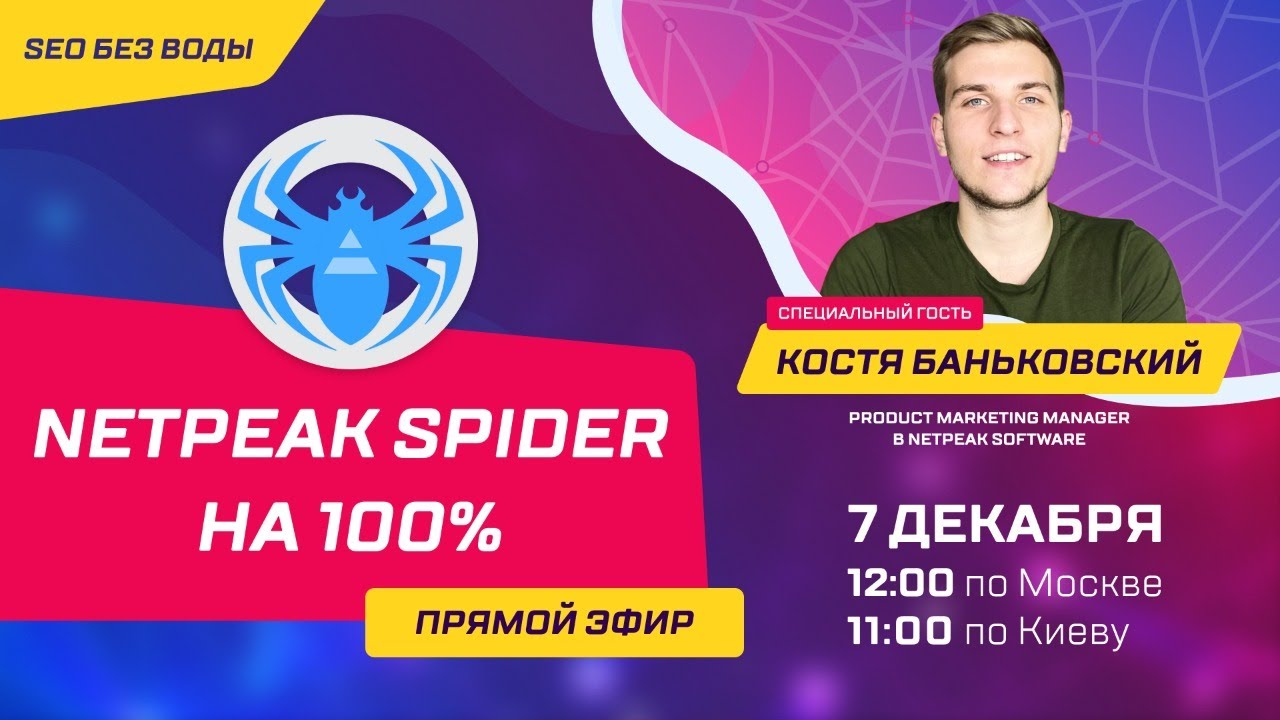 Netpeak Spider на 100%