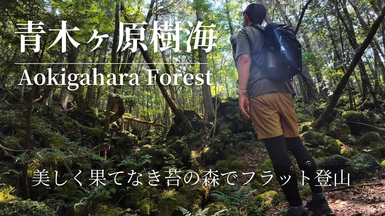 【青木ヶ原樹海】美しく果てなき苔の森でフラット登山